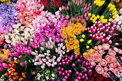 《战地2042》“危险地带”正式预告公开 玩法详解